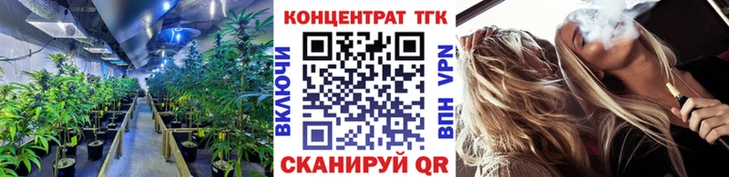 ТГК вейп с тгк  Купить где  Алексеевка 