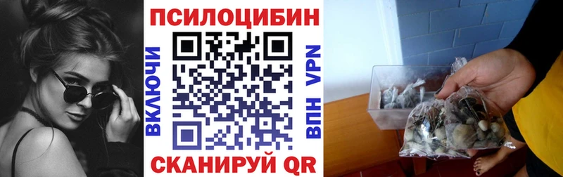 Купить  Алексеевка  Галлюциногенные грибы Magic Shrooms 